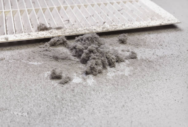 Best Air Duct Cleaning Near Me  in Goleta, CA